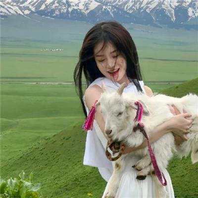 绝世好爸粤语